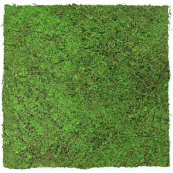 Wandpaneel MODULAR WALL