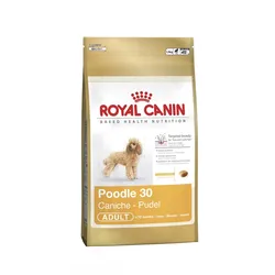 Royal Canin Breed Pudel | 500g Hundefutter trocken