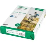 Papyrus Recyconomic Evolution White A4 80 g/m2 500 Blatt
