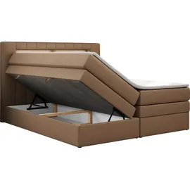 MKS Gold-5-King 180 x 200 cm H3 Braun