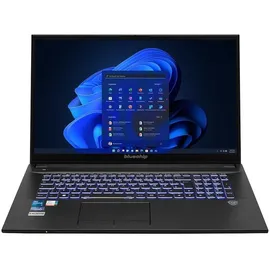 bluechip TRAVELline B17W27 17,3" Intel Core i5-1335U 16 GB RAM 500 GB SSD Windows 11 Pro Schwarz