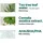 SOME BY MI AHA BHA PHA 30 Days Miracle Acne Clear Foam 100 ml