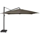 Platinum Icon 400 x 300 cm Braun