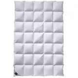 billerbeck Decke Classic Daune 312 Catalina Mono / 155x200cm