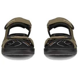 ECCO Offroad Herren Khaki/Schwarz 47