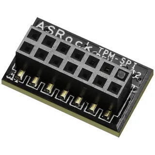 ASRock TPM-SPI Module