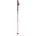 Pole Skistöcke-Pink-Rosa-130