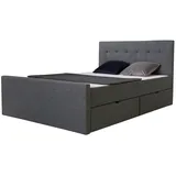 Homestyle4u 1979, Polsterbett 120x200 Grau Doppelbett Bettgestell Mit Lattenrost 2 Schubladen - Grau