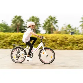 Licorne Bike Stella Premium City Bike 20,24,26 und 28 Zoll Fahrrad für Mädchen Herren und Damen 21 Gang (6 Gang bei 20 Zoll) Holland Citybike Rosa