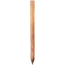 Tetzner & Jentzsch Zaunpfahl Ø 8 cm x 125 cm Braun