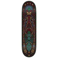 Real Skateboards Team Classic Oval 8,5" Blau