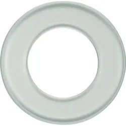 Berker Glasplatte 1091