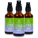 BitterLiebe Leber Komplex Spray 50 ml