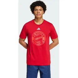 FC Bayern München DNA Graphic T-Shirt XS