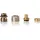 PUTEUS Anschlussverschraubung 1/2 Zoll Universal 20 x 2 mm 20 Stück