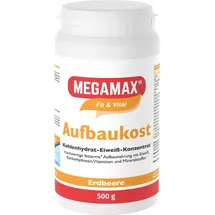 MEGAMAX Aufbaukost Erdbeere Pulver 500 g
