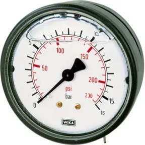 Riegler Glyzerinmano., Kunststoff, G 1/4 hinten zentr., -1/+3,0 bar,  Ø63