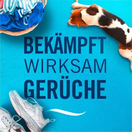 Febreze Raumspray Morgentau 185 ml