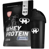 1kg Mammut Whey Protein Eiweißshake - Set inkl. Protein Shaker, Riegel, Powderbank oder Tasse (Blueberry Cheesecake, Gratis Mammut Shaker)