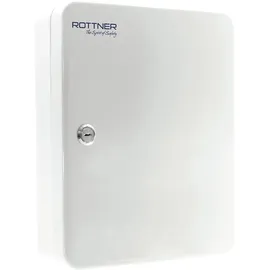 rottner security gmbh vertrieb v. sicherheitsanlagen Schlüsselbox SK 40 H300xB245xT85mm lichtgrau STA Anz.Hak.40