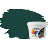 RyFo Colors Fassadenfarbe Silikonharz Fassadenfarbe Dschungelgrün 3l, 1 L ca. 6 m2, Wasserabweisend, diffusionsfähig, schützt vor Schmutz, Algen, Pilzen grün