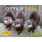Heel Otter Kalender 2026 Wandkalender Eintragkalender