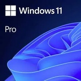 Microsoft Windows 11 Pro EN