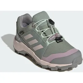 Adidas Terrex GTX Silver Green / Putty Mauve / Preloved Fig 32