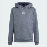 adidas Kinder Kapuzensweat Training AEROREADY, LEINME/REFSIL, 128