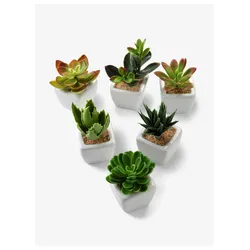 bonprix Kunstpflanzen in Sukkulenten-Design (6-tlg.Set), grün, 0 (5.5/8 cm)