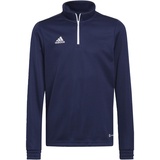 adidas Unisex Kids Sweatshirt Ent22 Tr Topy, Tenabl, 176