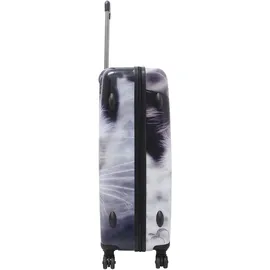 Saxoline 4-Rollen 51 cm / 78 l mehrfarbig