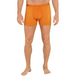 Icebreaker Boxershort Anatomica (Merinowolle) Unterwäsche gelb Herren