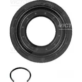 Victor Reinz Wellendichtring, Differential 15-31193-01