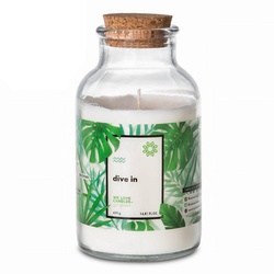 WE LOVE CANDLES Duftkerze Go Green - Dive in 420g Kerzen 