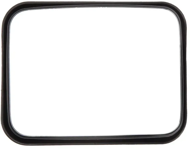 Miroir grand angle PACOL DAF-MR-018