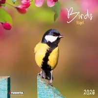 Tushita paperart Birds 2026