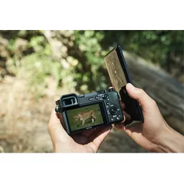 Sony Alpha 6600 + 18-135 mm G PZ OSS