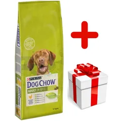PURINA Dog Chow Adult Chicken 14kg + Überraschung für den Hund