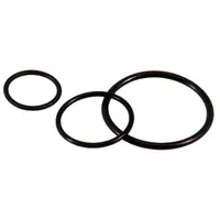 Lapp 53102010 SKINDICHT O-RING M16/13X2