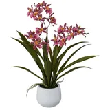 Kunstpflanze Cambria-Orchidee im Keramiktopf, 50 cm, dunkelrosa