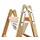 Iller-Leiter Iller Werkzeugtasche Holz Sprossenstehleitern ohne Stahlbügel für Modell Professional ERGO