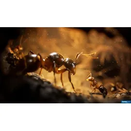 Empire of the Ants - Limited Edition