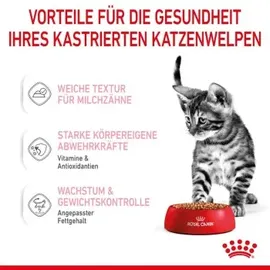 Royal Canin Canin Kitten Sterilised 12 x 85 g