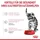 Royal Canin Canin Kitten Sterilised 12 x 85 g