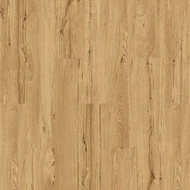 Corklife Korkboden 122 x 185 cm 10,5 mm, Freestyle Oak Principal