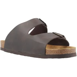 Dr. Brinkmann 600275