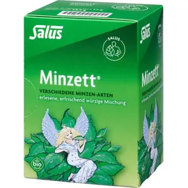 SALUS Minzett Kräutertee Bio Salus