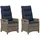 vidaXL Gartenstuhl 55 x 70 x 106 cm grau 2 St.