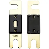 Offgridtec 100A ANL Sicherung DIN43560/1 5er-Set